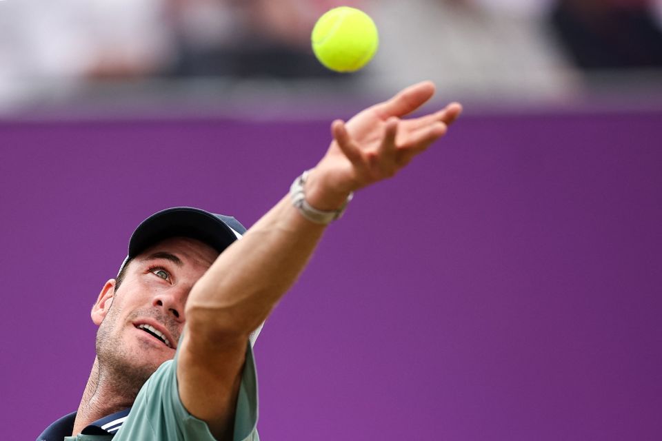 性和可及性 性和可及性