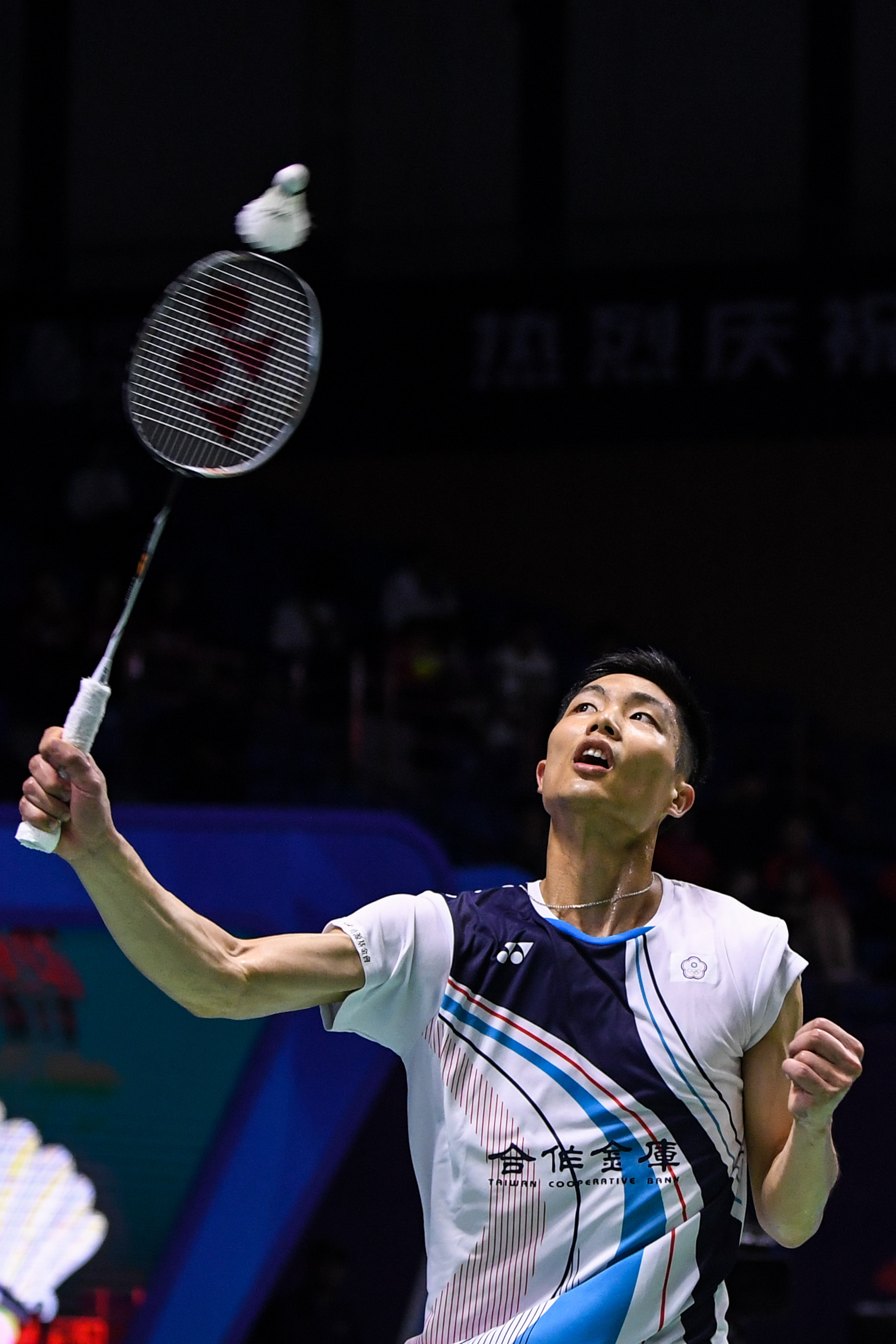 以来都是世 以来都是世